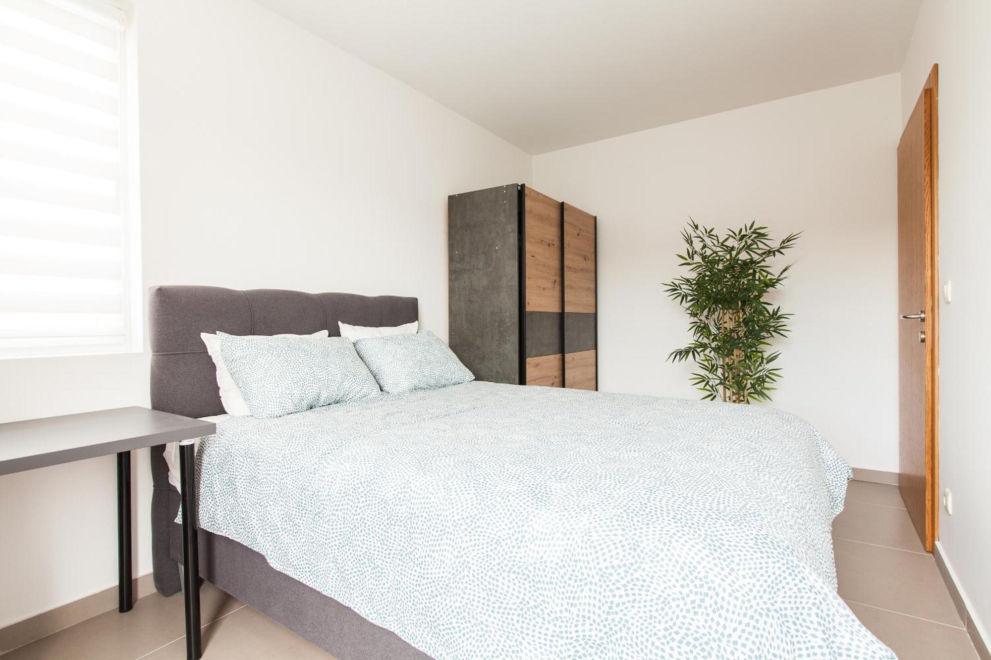 Apartment New